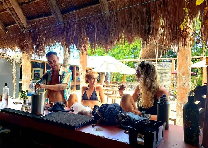 Hostel The - Food, Drinks And Transportation To The And Cenotes