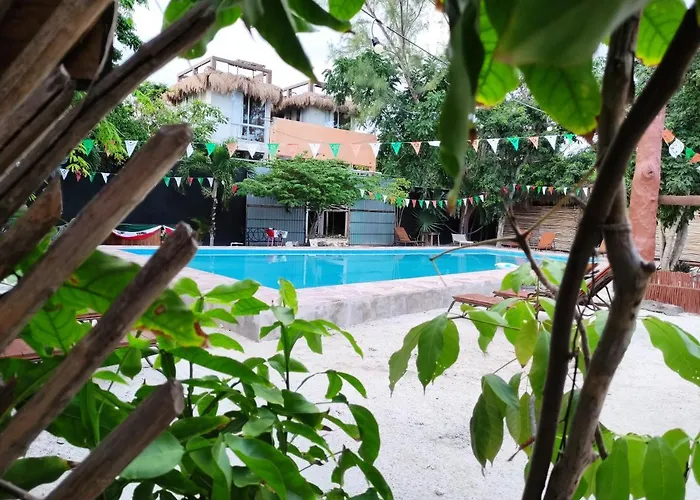 The - Food, Drinks And Transportation To The And Cenotes Albergue *