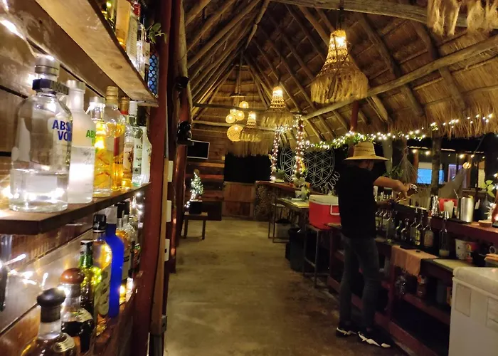 Albergue The - Food, Drinks And Transportation To The And Cenotes Tulum